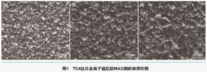 TC4钛合金离子镀铝后MAO膜的表面形貌