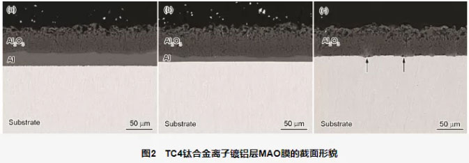 TC4钛合金离子镀铝层MAO膜的截面形貌