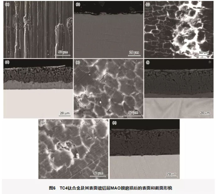 钛合金及钛合金镀铝层MAO不同时间的膜层与WC-Co球对磨后的表面和截面形貌