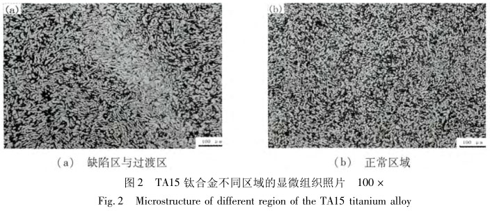 TA15钛合金不同区域的显微组织照片