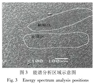 能谱分析区域示意图