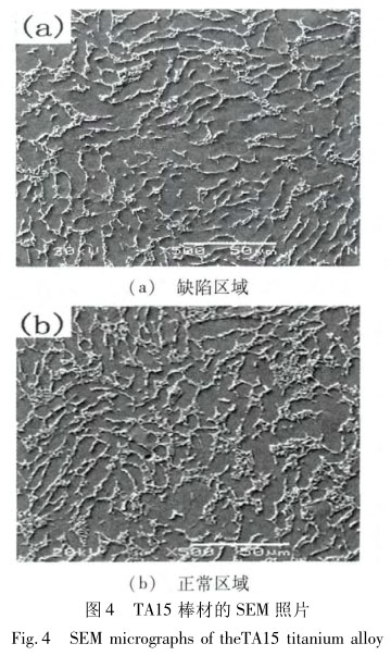 TA15棒材的SEM照片
