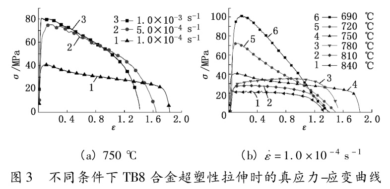 t3.jpg