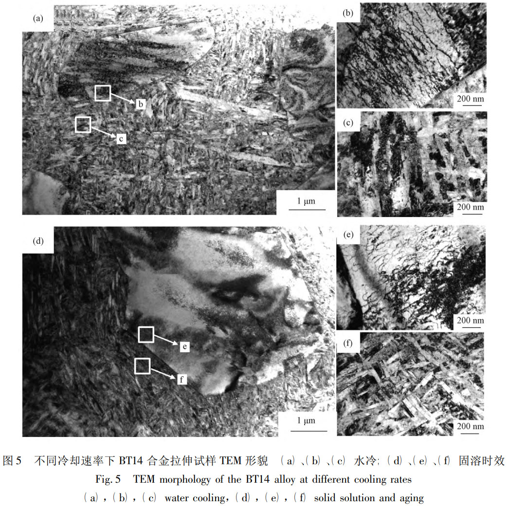 1760926137755335.jpg 未标题-2.jpg