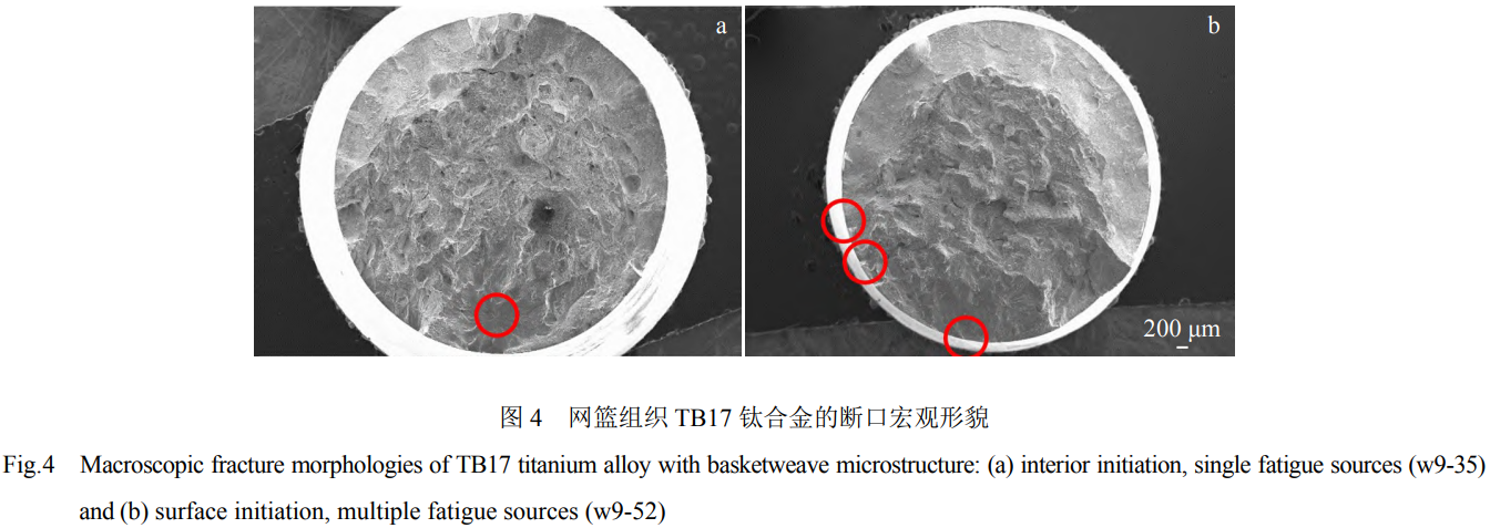 1760946487121369.png 截图20251020154447.png