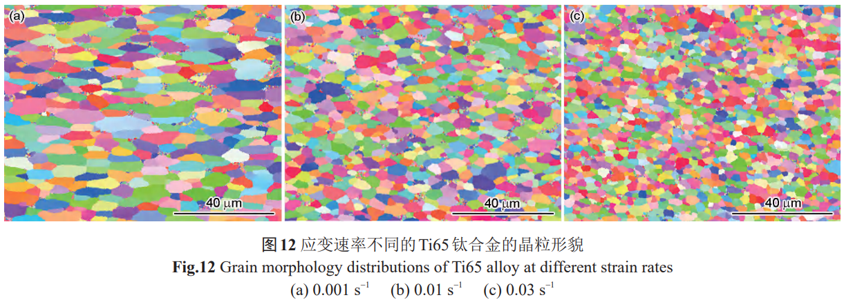 1761011631511152.png 截图20251021090835.png
