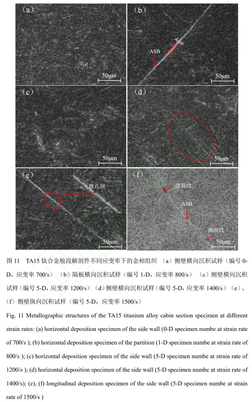 1762342236202215.jpg 未标题-3.jpg