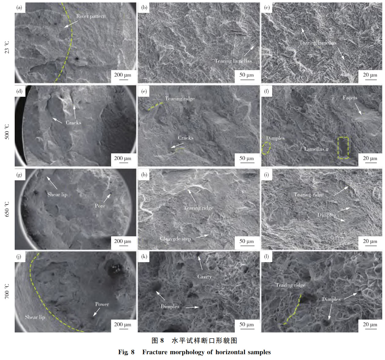 1762347884540697.jpg 未标题-3.jpg