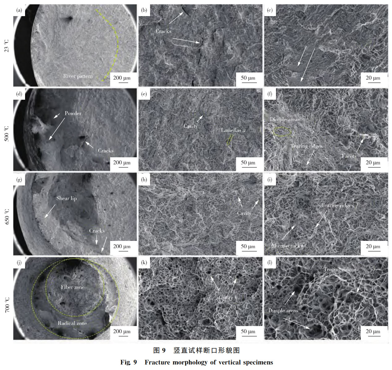 1762347893769336.jpg 未标题-4.jpg