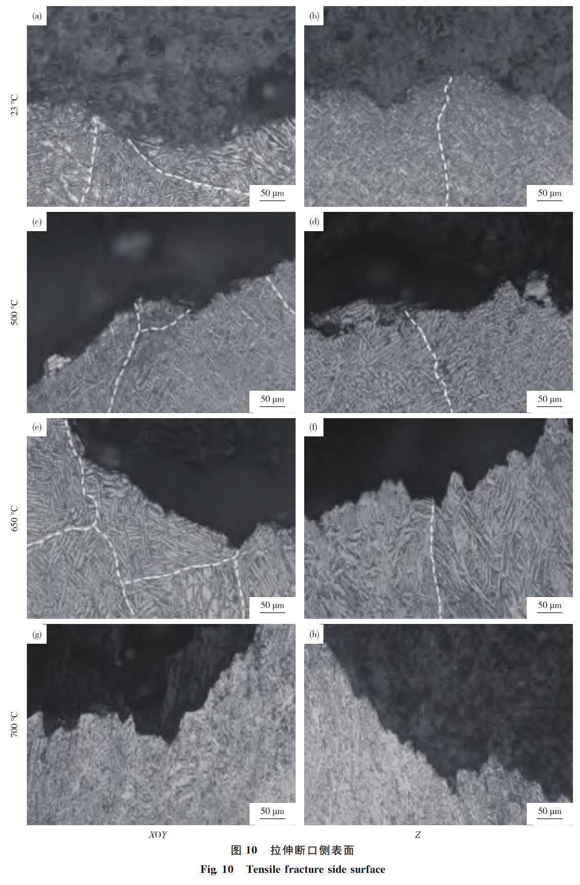 1762347916912613.jpg 激光沉积Ti65钛合金拉伸性能_周松_9.jpg