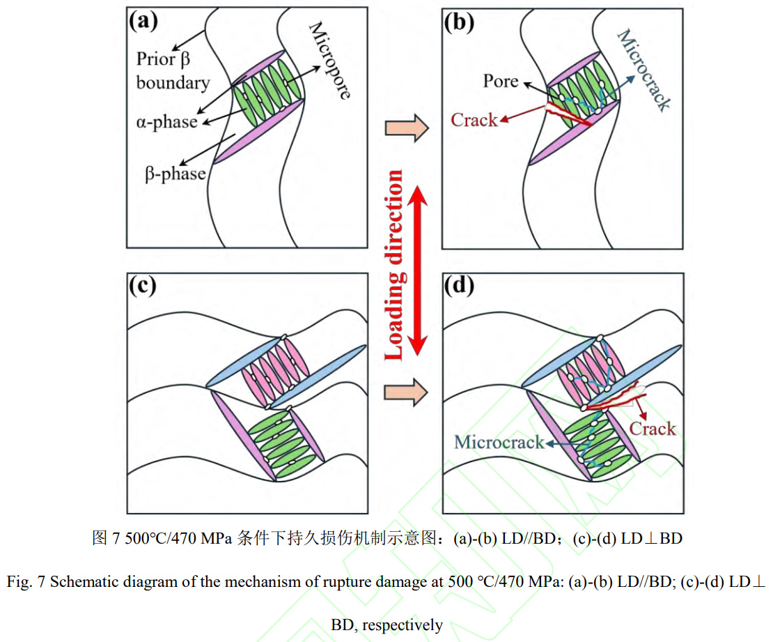 1764059950575341.jpg 未标题-1.jpg