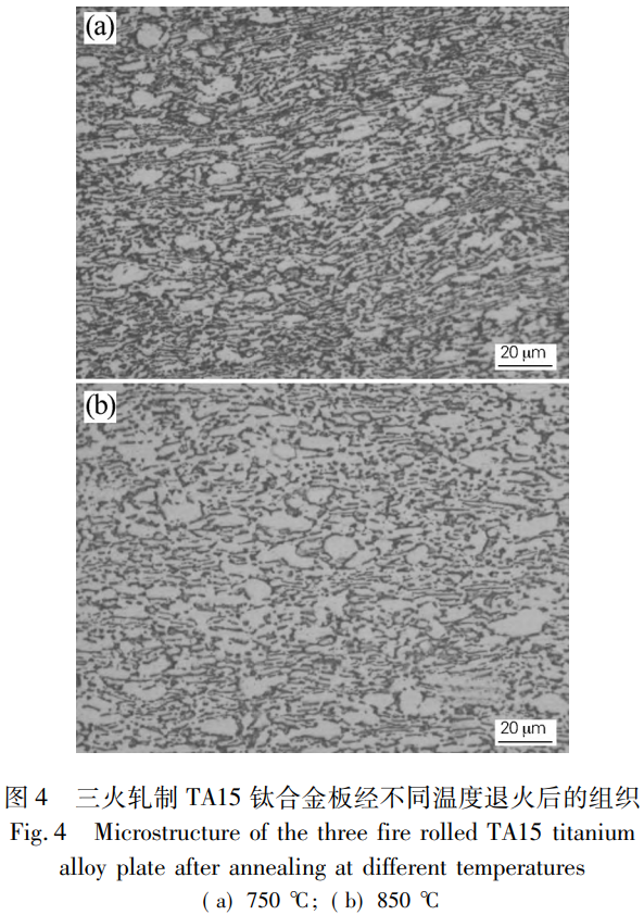 1765165065922576.png 截图20251208113508.png