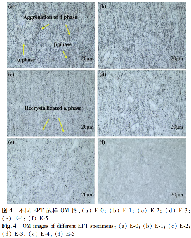 1765535894930744.png 截图20251212183641.png