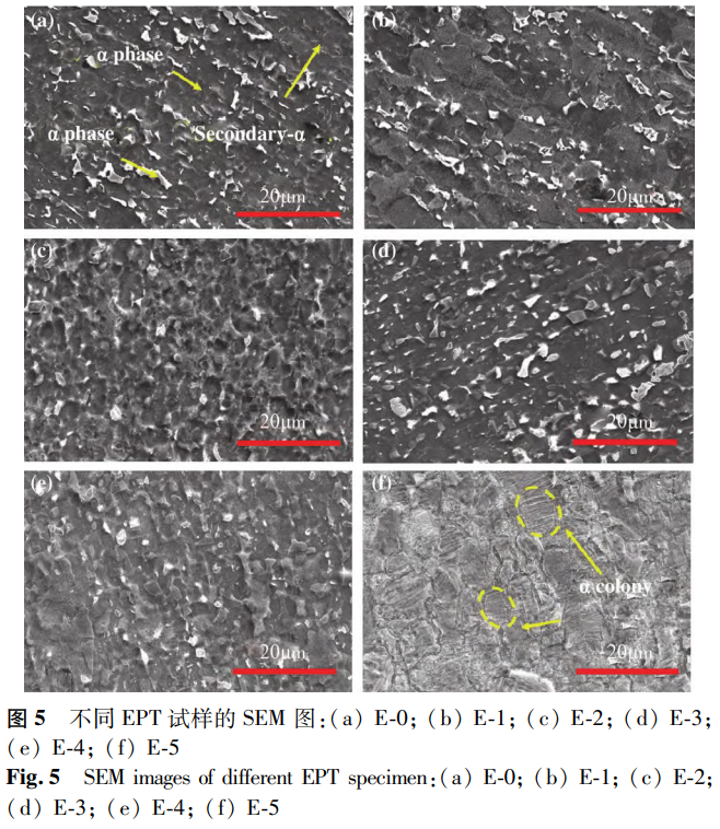 1765535903309893.png 截图20251212183656.png