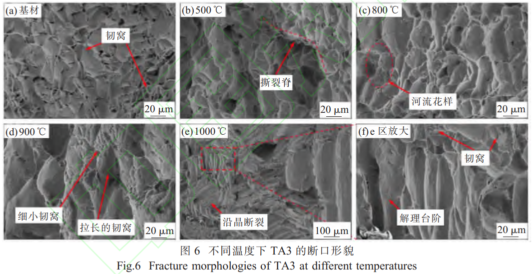 1765877857399718.png 截图20251216173527.png