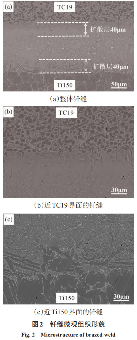 1768874750650746.jpg 2.jpg